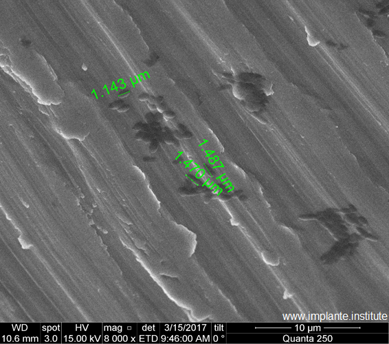 Imagem sugestiva de bactérias na superfície do implante.